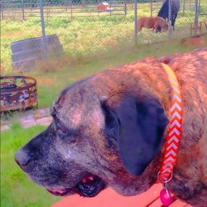 Meet your Posher, Kristine